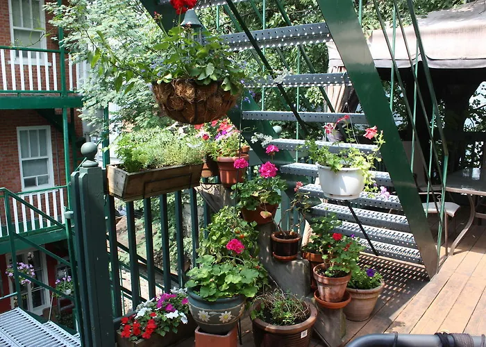 Bed and Breakfast Le Coureur Des Bois Ciudad de Quebec